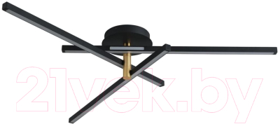 Потолочный светильник Lumion Parker 6547/56CL - фото