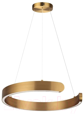 Потолочный светильник Lumion Indie 6535/28L - фото