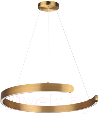 Потолочный светильник Lumion Indie 6535/43L - фото