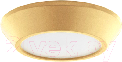 Точечный светильник Lightstar Urbano Mini 214734 - фото