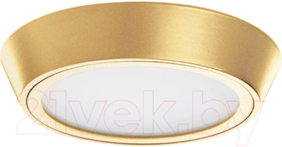 Точечный светильник Lightstar Urbano 214932  - фото