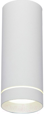 Точечный светильник Elektrostandard DLR022 12W 4200K (белый матовый) - фото