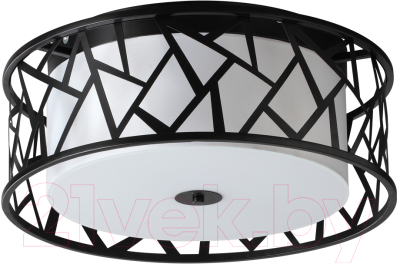 Потолочный светильник Sonex Fabiana 7700/40L - фото