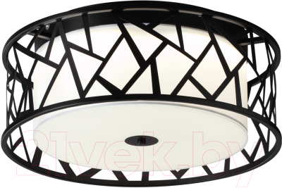 Потолочный светильник Sonex Fabiana 7700/40L