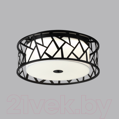 Потолочный светильник Sonex Fabiana 7700/40L