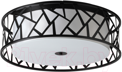 Потолочный светильник Sonex Fabiana 7700/60L - фото