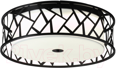 Потолочный светильник Sonex Fabiana 7700/60L