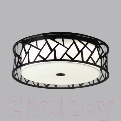 Потолочный светильник Sonex Fabiana 7700/60L