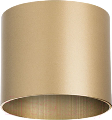 Точечный светильник Lightstar Rullo 213490 - фото