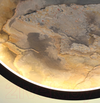 Потолочный светильник Odeon Light Stoflake 5078/25L