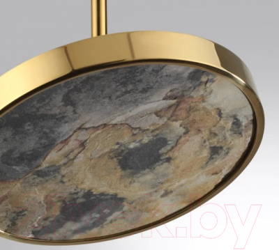 Потолочный светильник Odeon Light Bergi 5079/15L