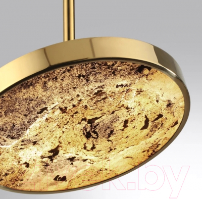 Потолочный светильник Odeon Light Bergi 5079/15L