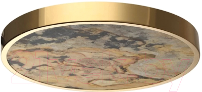 Потолочный светильник Odeon Light Bergi 5079/40L - фото