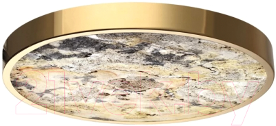 Потолочный светильник Odeon Light Bergi 5079/40L