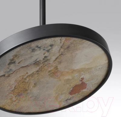 Потолочный светильник Odeon Light Bergi 5064/15L