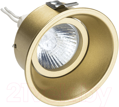 Точечный светильник Lightstar Domino Round 214603  - фото