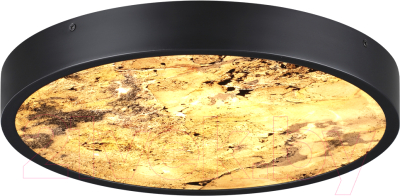 Светильник Odeon Light Bergi 5064/24L