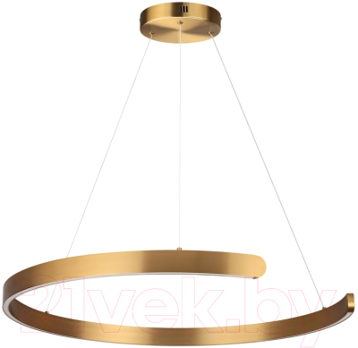 Потолочный светильник Lumion Indie 6535/57L - фото