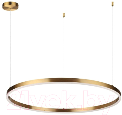 Потолочный светильник Lumion Echo 6531/67L - фото