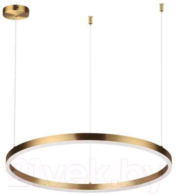 Потолочный светильник Lumion Echo 6531/50L - фото