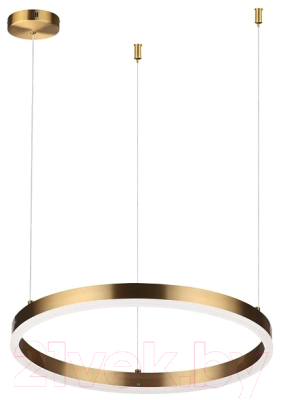 Потолочный светильник Lumion Echo 6531/34L - фото