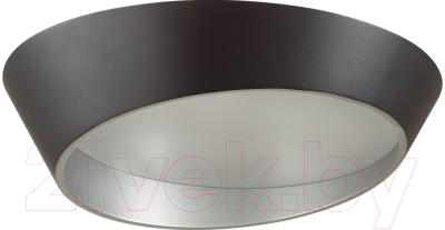 Потолочный светильник Sonex Apex 7694/60L - фото