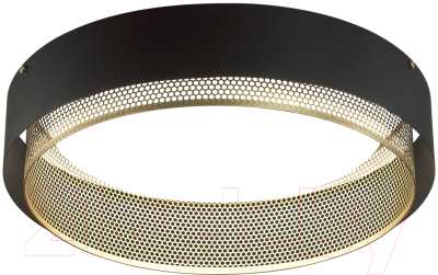 Потолочный светильник Sonex Antey 7692/80L - фото