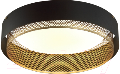 Потолочный светильник Sonex Antey 7692/80L