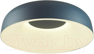 Потолочный светильник Sonex Confy 7689/65L - фото