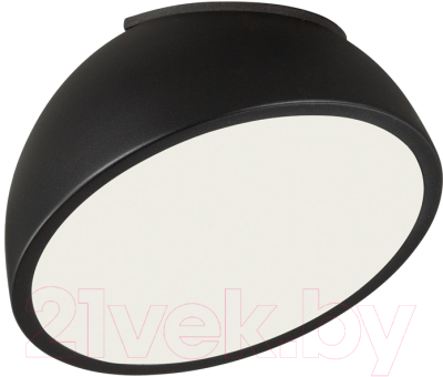 Потолочный светильник Sonex Pluto Black 7658/11L - фото