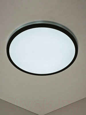 Потолочный светильник TK Lighting TKC18068