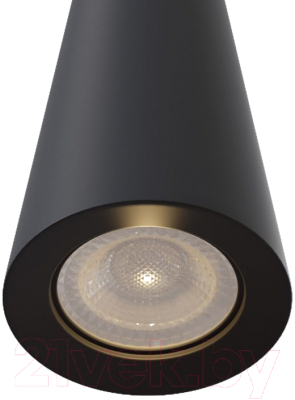 Потолочный светильник Maytoni Nevill P318PL-01B