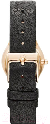 Часы наручные женские Skagen SKW2209