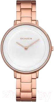 Часы наручные женские Skagen SKW2331 - фото