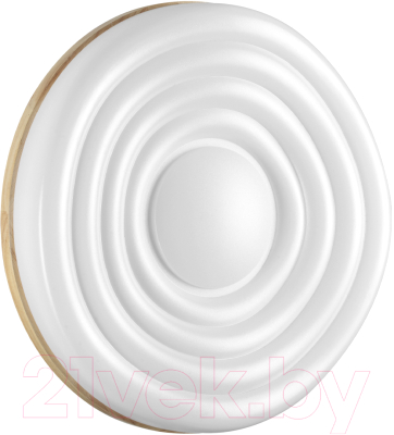 Потолочный светильник Sonex Fass Wood 7674/EL - фото