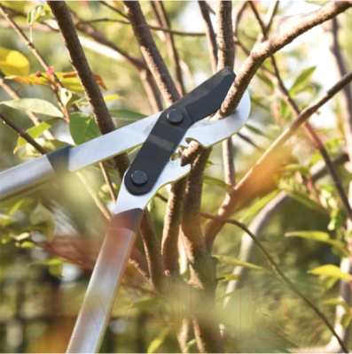 Сучкорез механический Cyrus CTL-2249