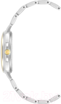 Часы наручные женские Anne Klein AK/4055WTTT