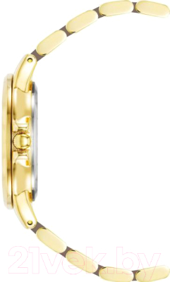 Часы наручные женские Anne Klein AK/4120TPGB