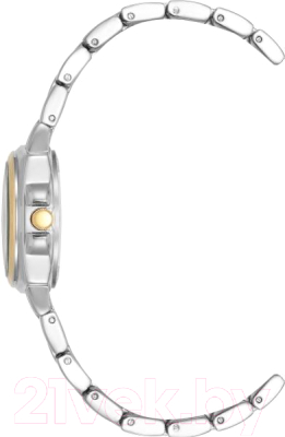 Часы наручные женские Anne Klein AK/4167WTTT