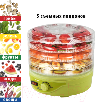 Сушилка для овощей и фруктов Econ ECO-3012FD