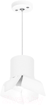 Потолочный светильник Lightstar Rullo RP3486486  - фото