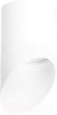 Точечный светильник Lightstar Rullo R348686  - фото