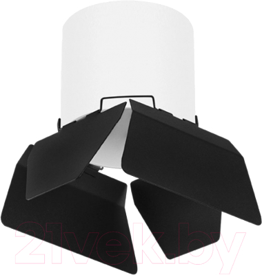 Точечный светильник Lightstar Rullo R3486487  - фото