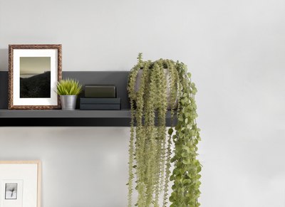 Полка Mio Tesoro Денвер навесная