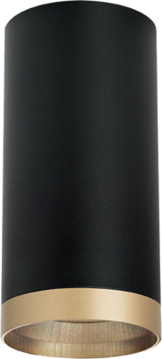 Точечный светильник Lightstar Rullo R6487490 - фото