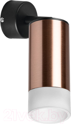 Спот Lightstar Rullo RB43031  - фото