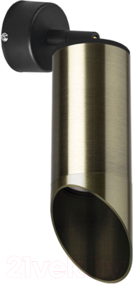 Спот Lightstar Rullo RB43130 - фото