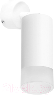 Спот Lightstar Rullo RB43631 - фото