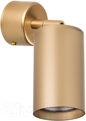 Спот Lightstar Rullo RB4401 - фото