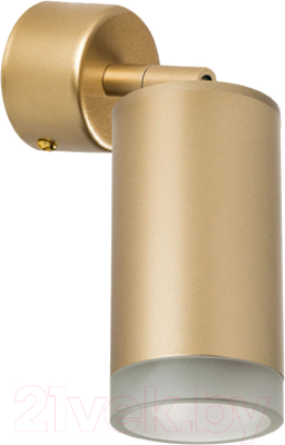 Спот Lightstar Rullo RB4401030  - фото